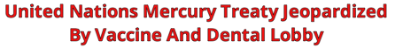 UN Mercury treaty -Vaccine & dental lobby