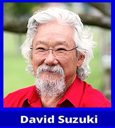 david-suzuki-f