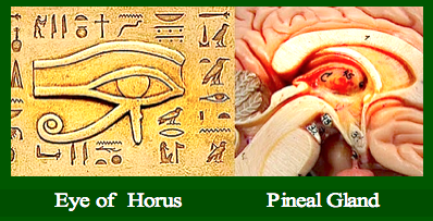 Horus-third eye