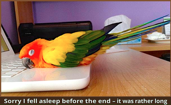 sleeping parrot